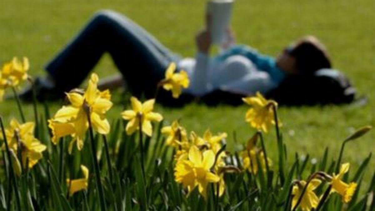 in sfarsit vine primavara cum va fi vremea in regiunea in care locuiesti in intervalul 9 23 martie