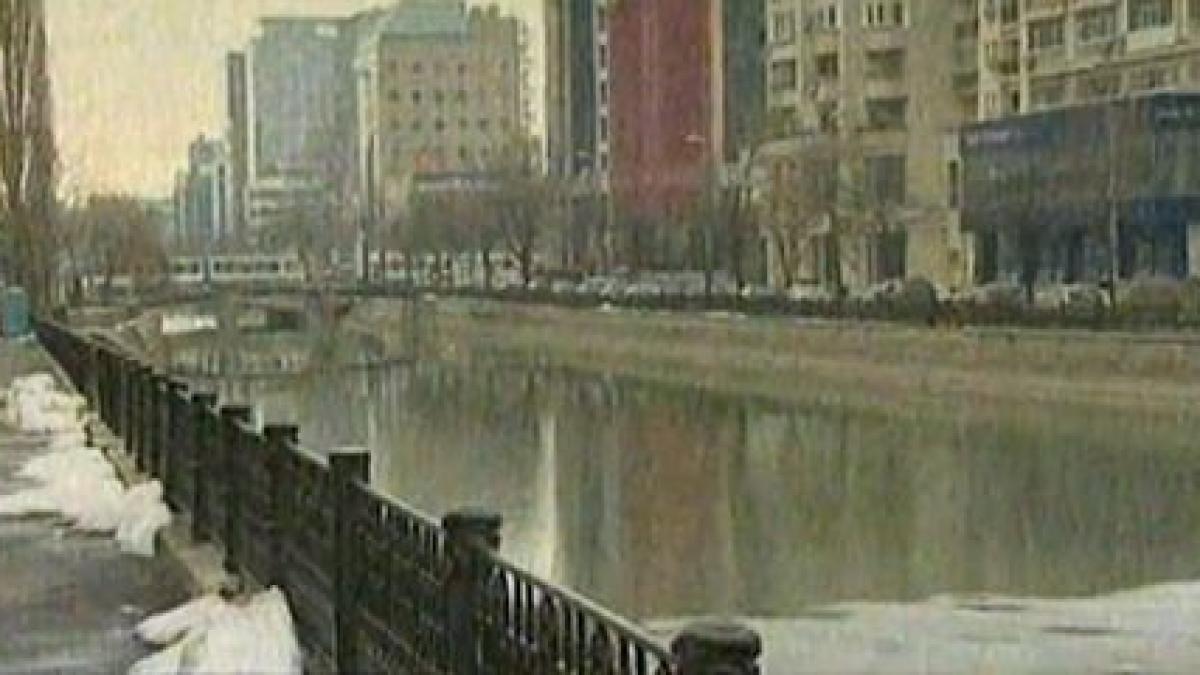 plimbarile cu barca pe raul dambovita ar putea deveni posibile