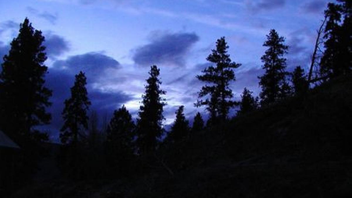 aventura periculoasa pe munte patru copii din brasov s au ratacit pe tampa