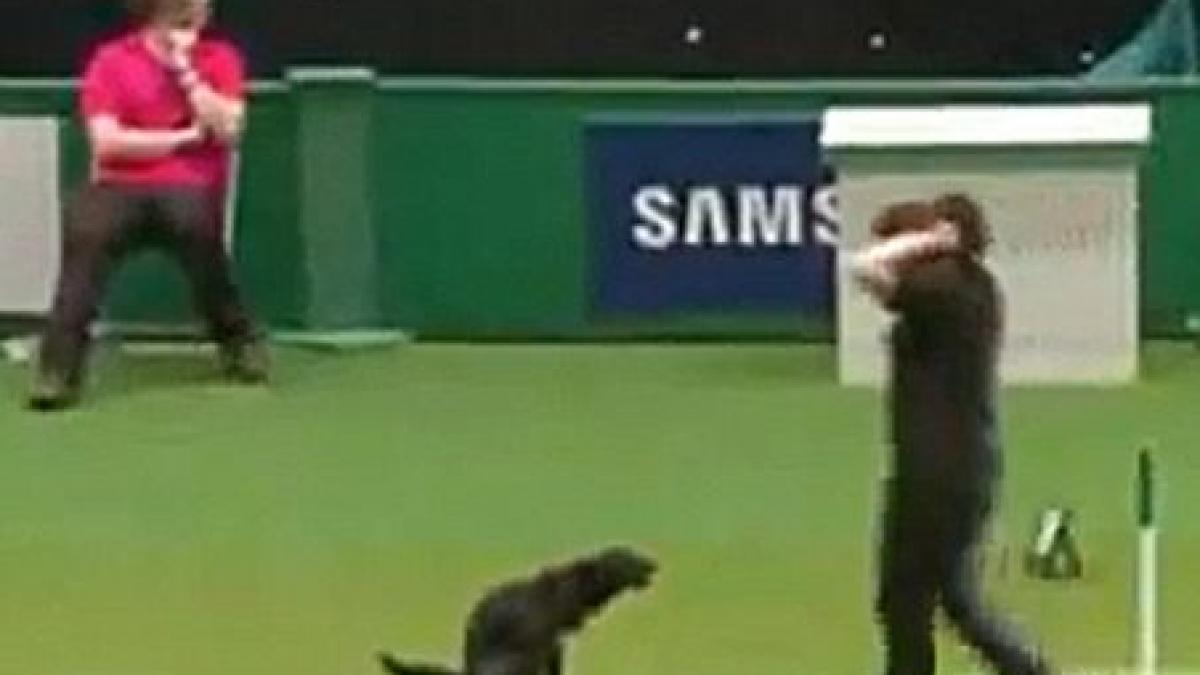 si a facut nevoile in mijlocul unui concurs si a fost descalificat