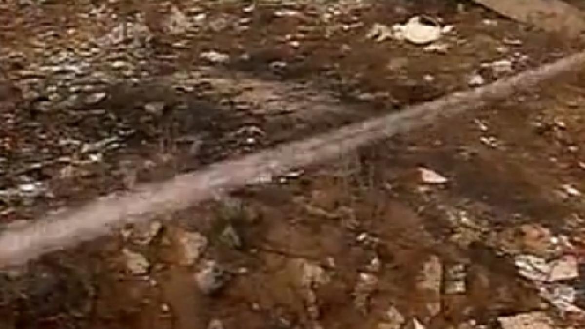 un criminal in serie a fost prins la brasov mobilul crimelor a fost de natura sexuala