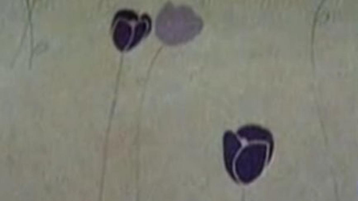 coaforul de la perla a fost renovat proprietarii au decorat salonul cu lalele in amintirea femeilor