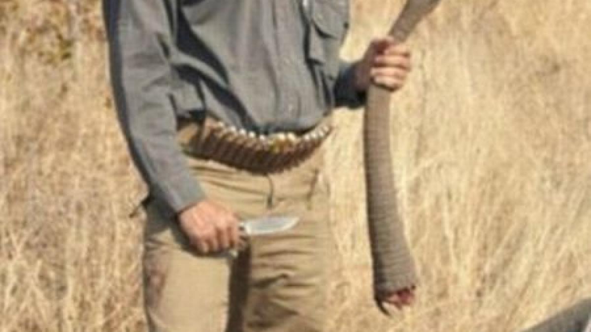 cum alunga miliardarii plictiseala cruzimea fiilor lui donald trump a oripilat internetul