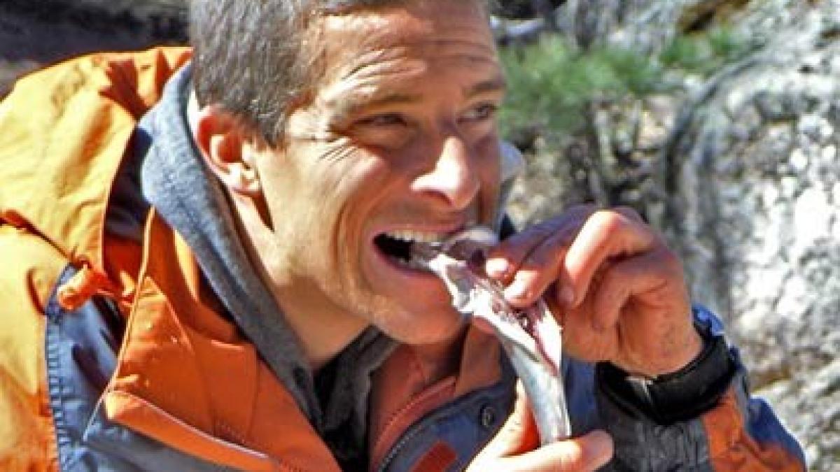 nimeni nu si l ar fi imaginat in aceasta situatie detaliul neasteptat pentru care bear grylls a