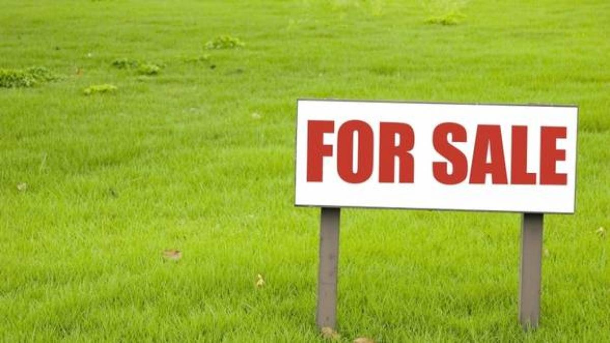 romania cumparata bucata cu bucata incepand din 2013 vanzarea terenurilor catre straini 99 sigura