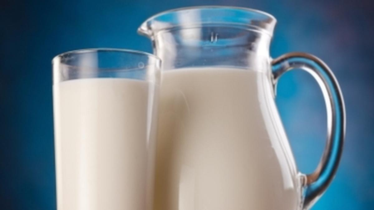 cum se scumpeste laptele de 5 ori de la fermieri pana ajunge pe rafturi in strainatate costa mai