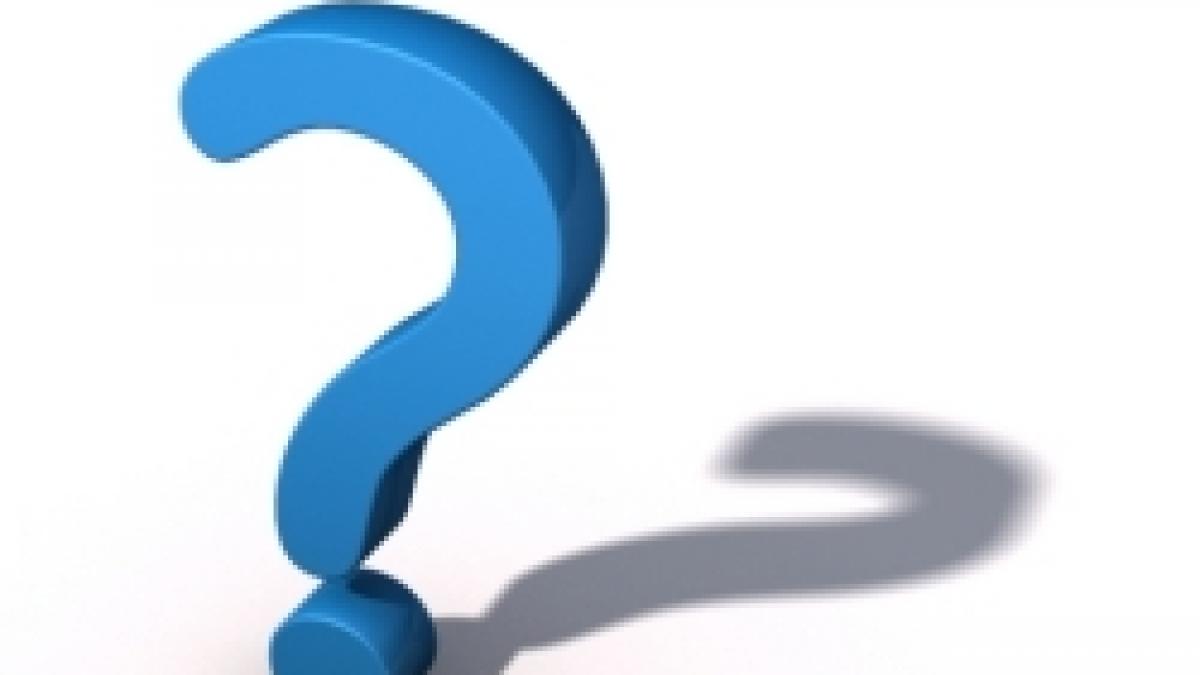 este caine sau pisica tu iti dai seama