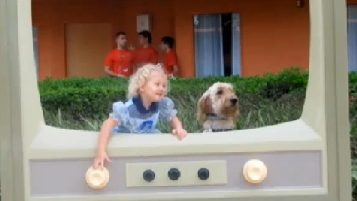 este in viata datorita cainelui ei povestea impresionanta care ne arata omenia si devotamentul