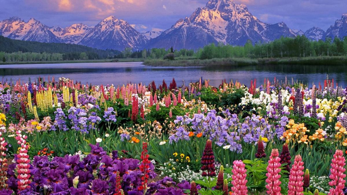 vine primavara temperaturi de 16 grade vezi prognoza meteo pentru week end