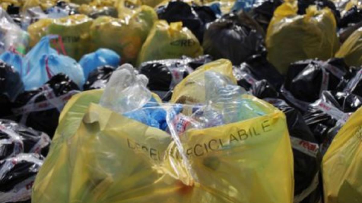 bistrita este capitala earth hour s au strans peste 20 de tone de pet uri in cele trei orase