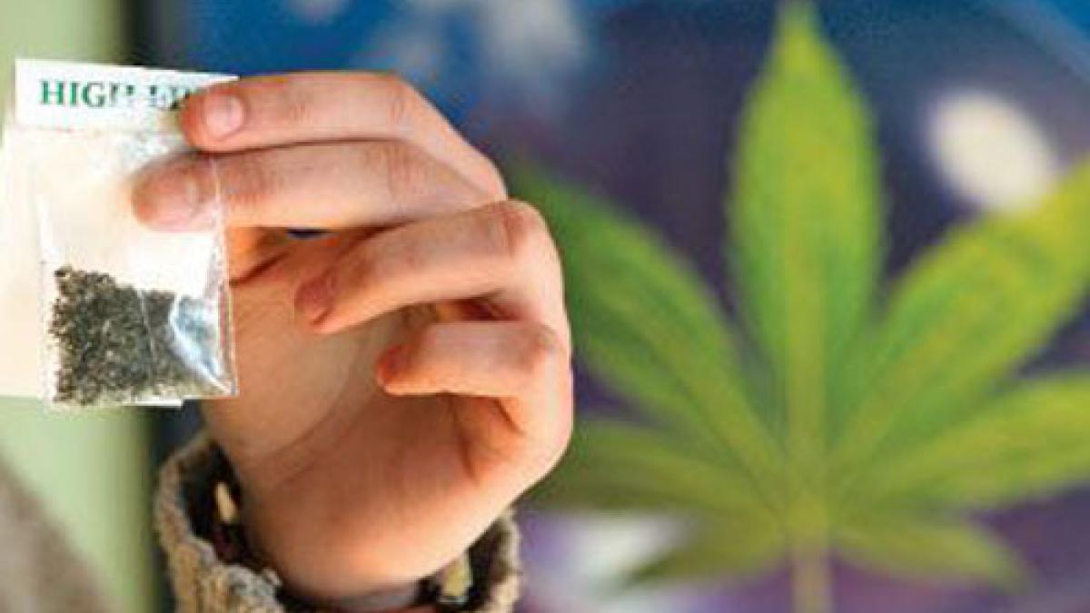 cea mai mare captura de etnobotanice din romania peste 22 000 plicuri de substante halucinogene