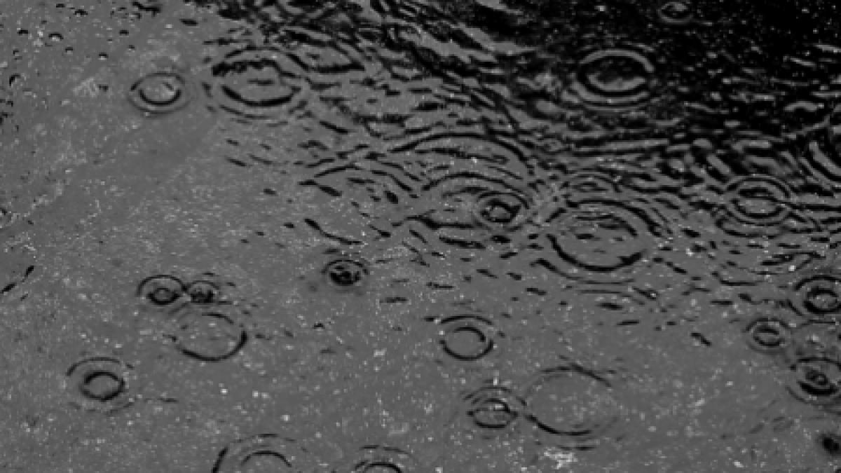 laszlo borbely nici anul acesta nu va fi foarte bogat in precipitatii