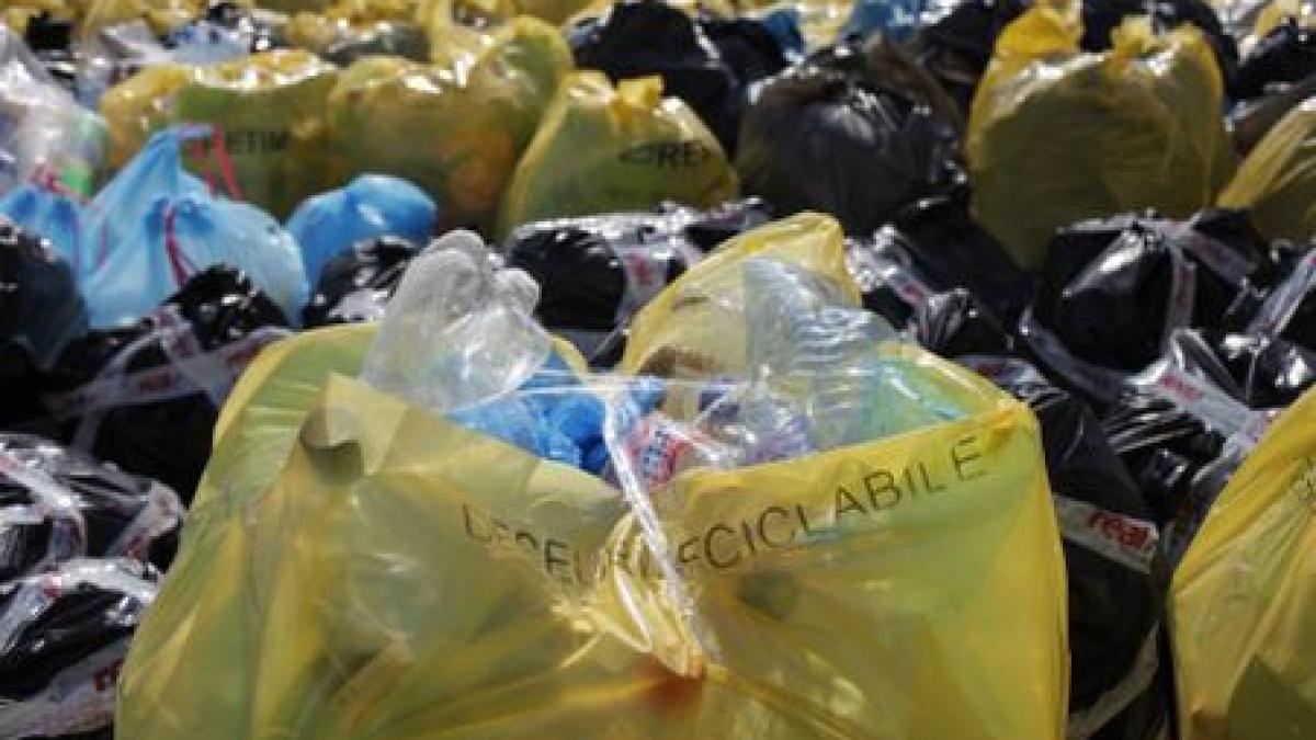 tone de pet uri au fost stranse la iasi bistrita si timisoara orase finaliste ale competitiei