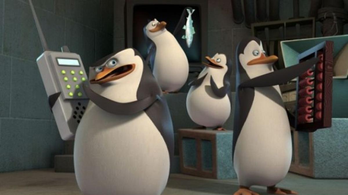 just smile and wave boys varianta reala transmisie video non stop cu pinguini