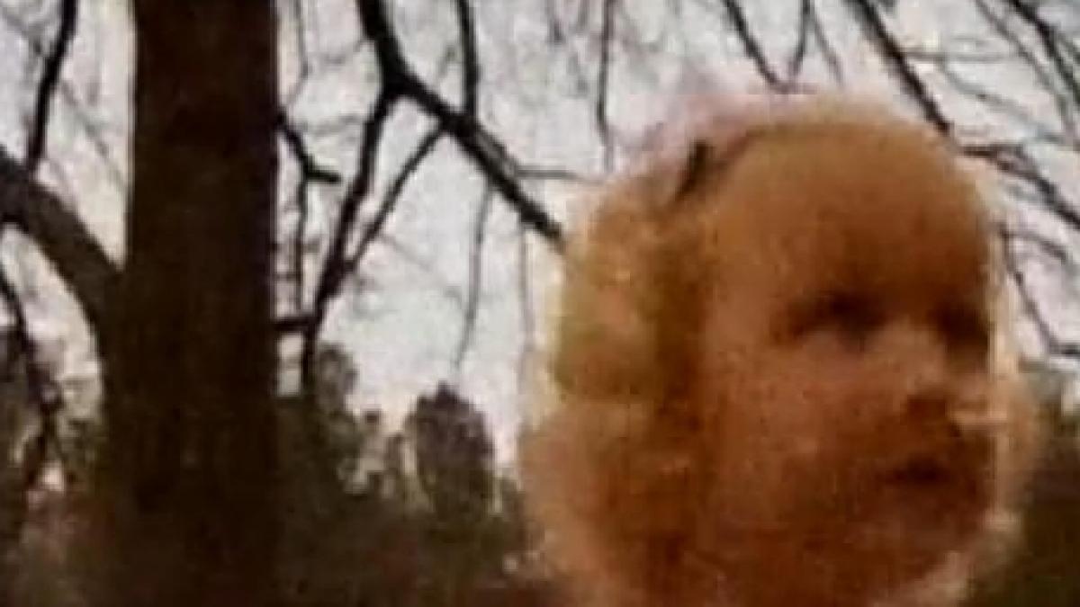 o fetita de trei ani este dependenta de cainele ei vezi aici de ce