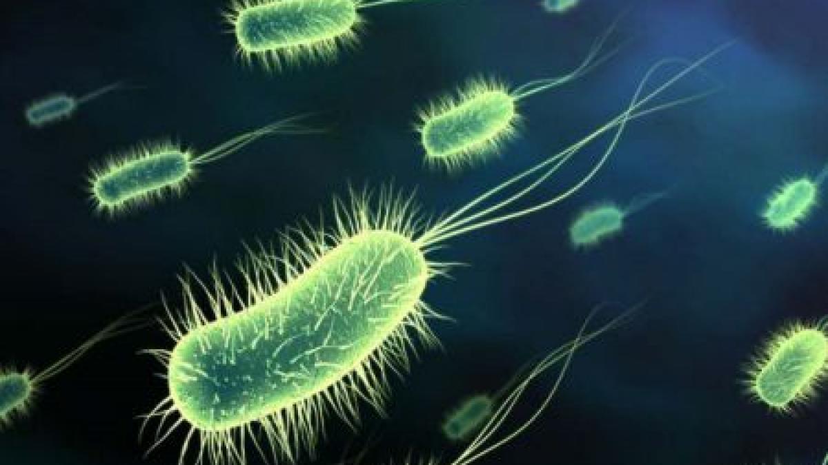 criza care ar putea insemna sfarsitul medicinei moderne o simpla zgarietura va putea aduce moartea