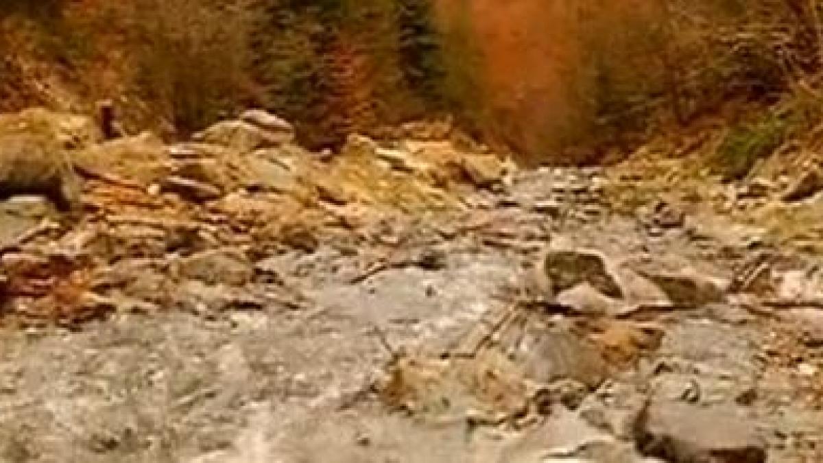 in premiera dezvaluie totul despre radioactivitate pericolul nevazut