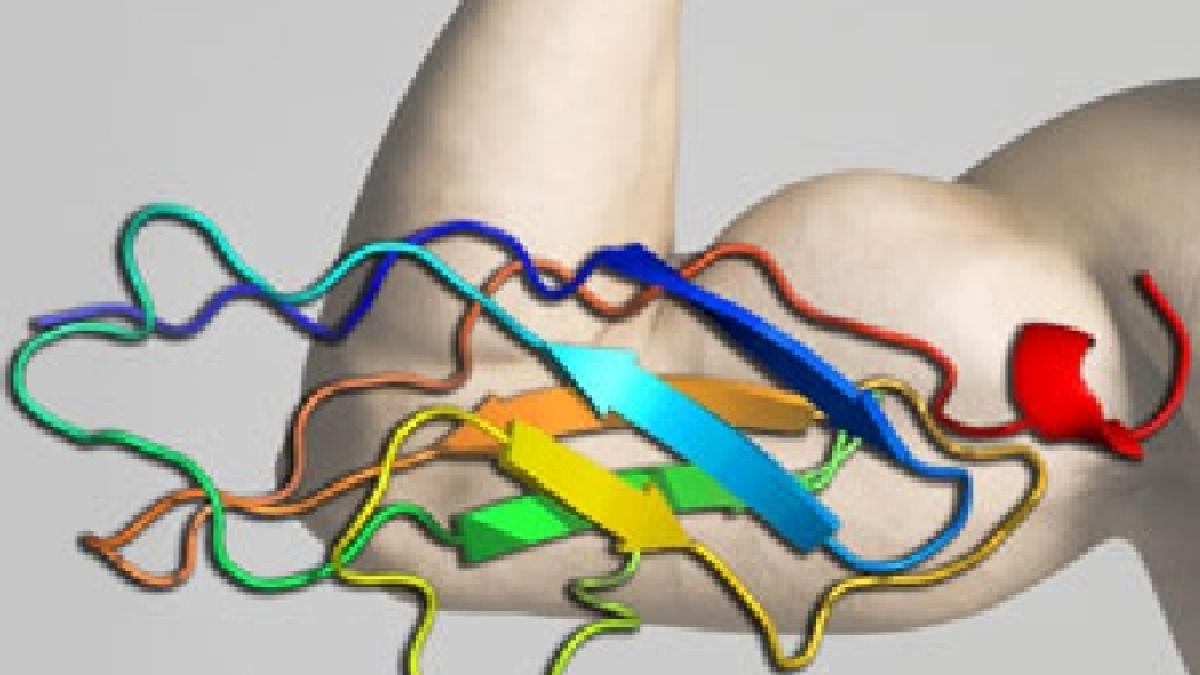 cel mai lung cuvant din lume vezi cate sute de mii de litere are