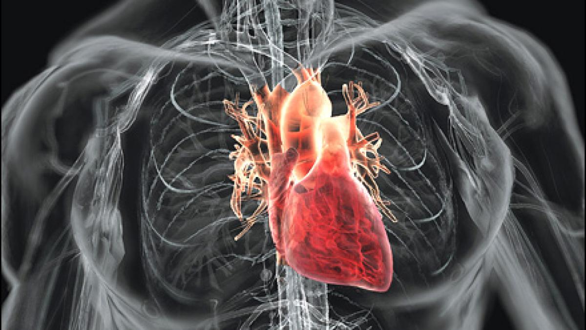 descoperirea care zguduie lumea medicala pana acum era posibila doar in filmele sf