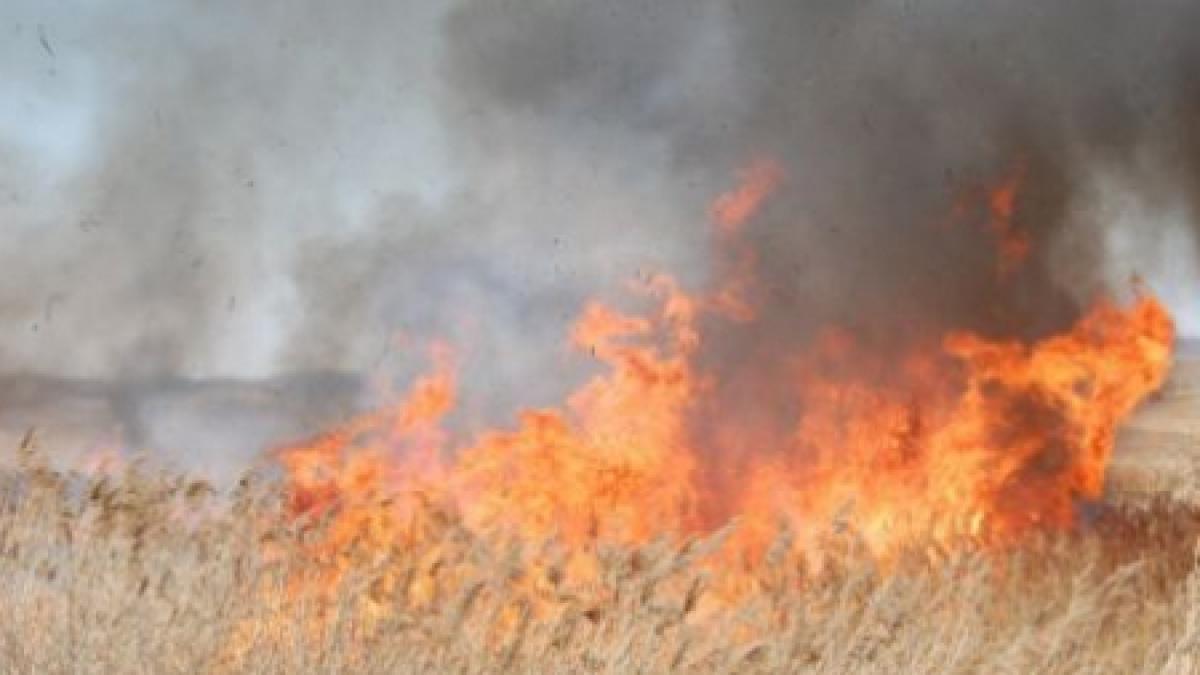 focurile lasate nesupravegheate fac prapad hectare intregi de vegetatie au ars casele oamenilor in