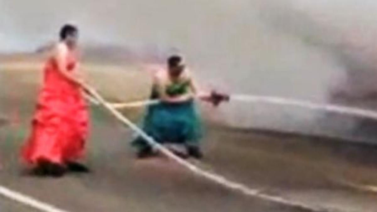 cele doua gratii care se lupta cu flacarile imagini indecent de amuzante