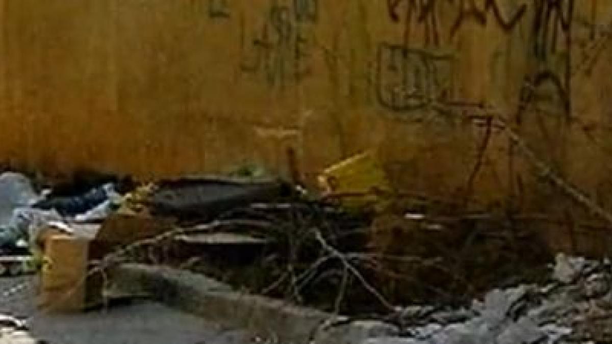 dupa topirea zapezilor apar si gunoaiele strazile din bucuresti sunt pline de mizerie