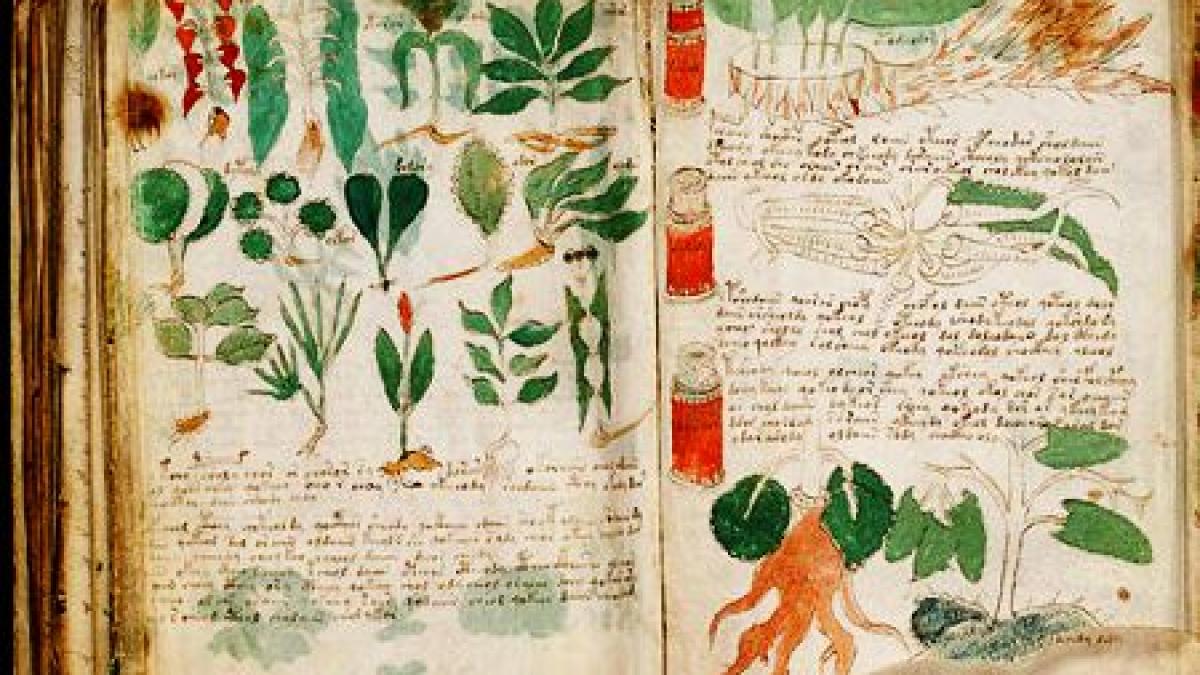 unul dintre cele mai mari mistere ale lumii nici un om de stiinta nu a reusit sa l descifreze