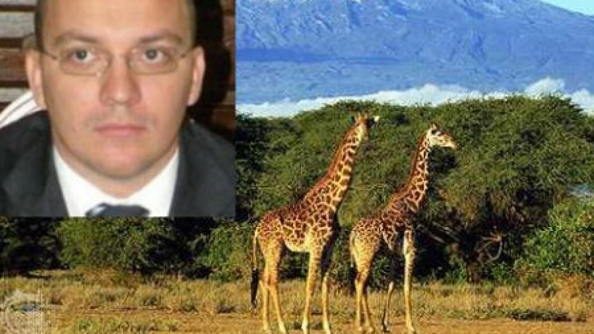 boldea a zburat in tarile calde deputatul ar fi plecat intr un stat african cu care romania nu are