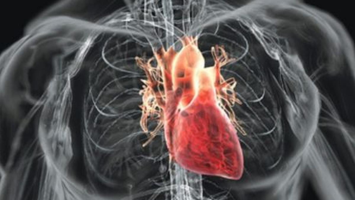 descoperirea care ti ar putea salva viata