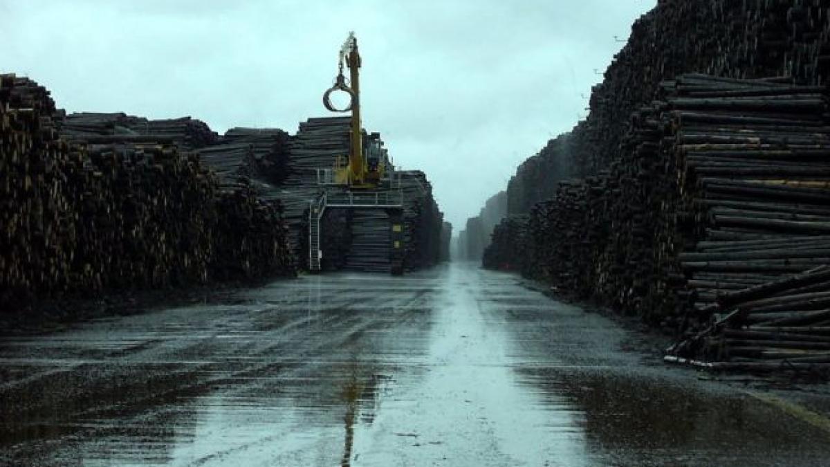 dezastrul pe care omul il face va duce la distrugerea acestei lumi imaginile care prezic prabusirea