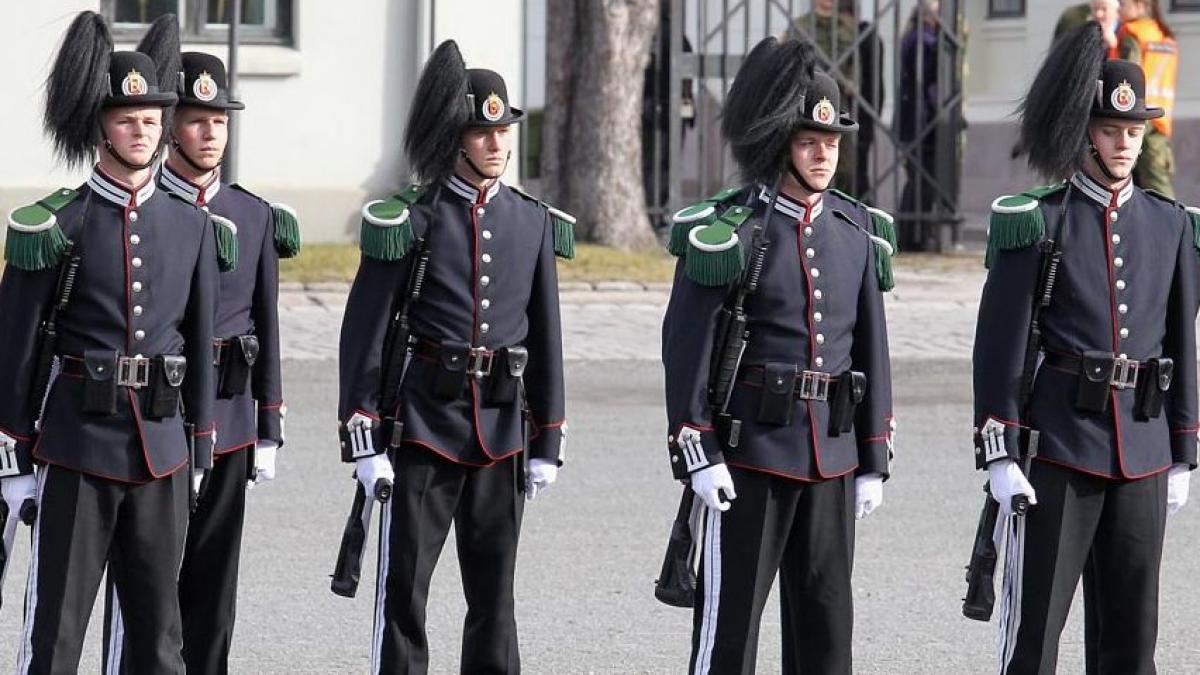 cand vei vedea intreaga imagine te va bufni rasul expresia de pe fetele lor nu tradeaza ce se