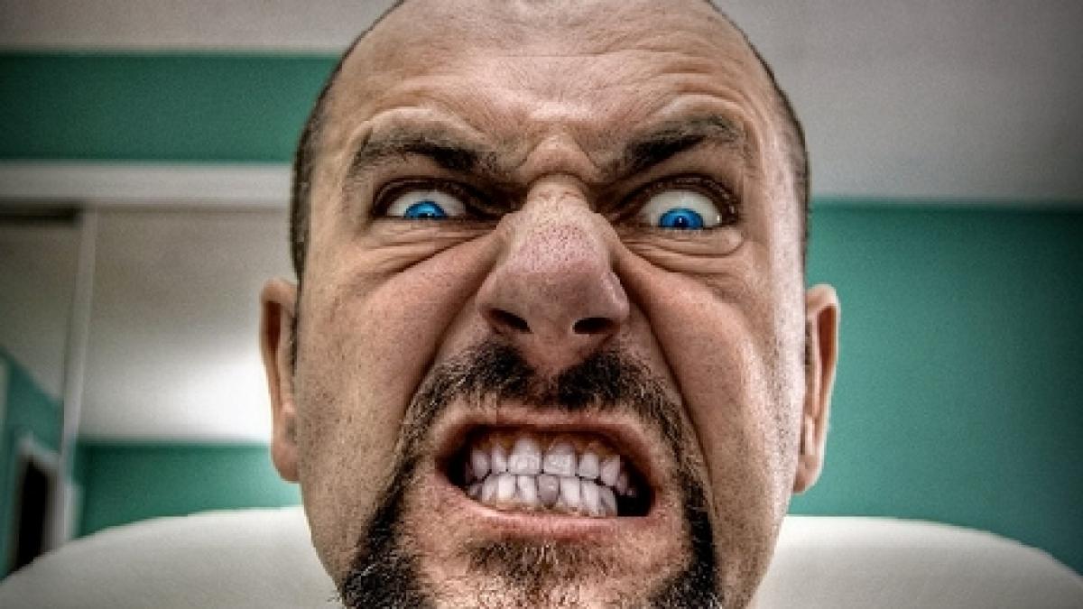 s a intors lumea cu susul in jos un caine de politie a fost muscat de un suspect