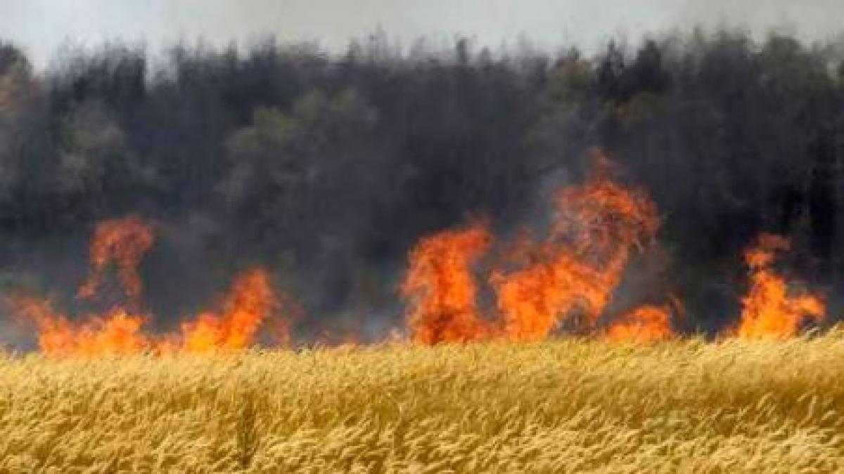 caras severin lupta cu flacarile nu este usoara un barbat a decedat in timp ce ajuta pompierii la