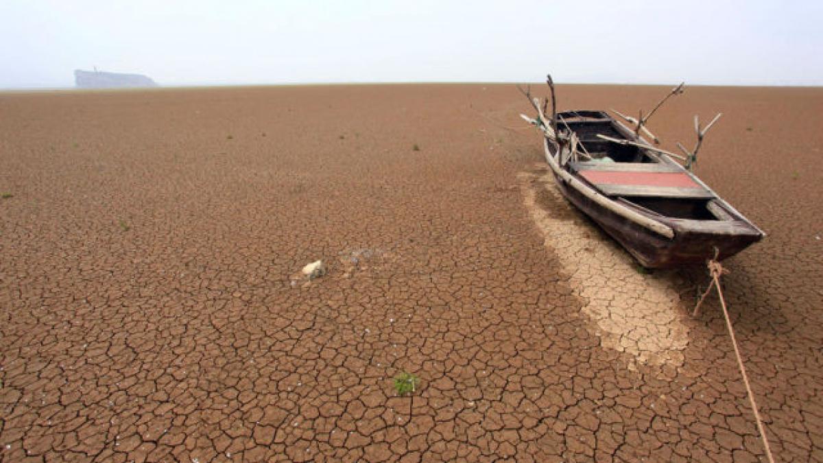 lumea asa cum o stiai nu mai exista imagini dramatice cu planeta albastra fara oameni