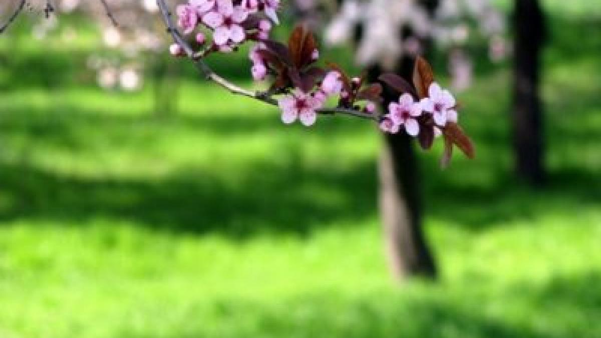 surpriza din partea vremii inceputul de saptamana aduce schimbari in termometre vezi prognoza meteo