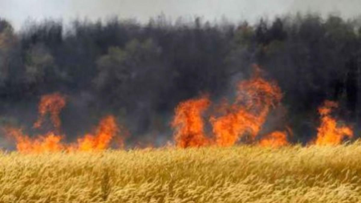 incendiu de proportii pe dealurile din satul paclele buzau localnicii au sarit sa dea o mana de