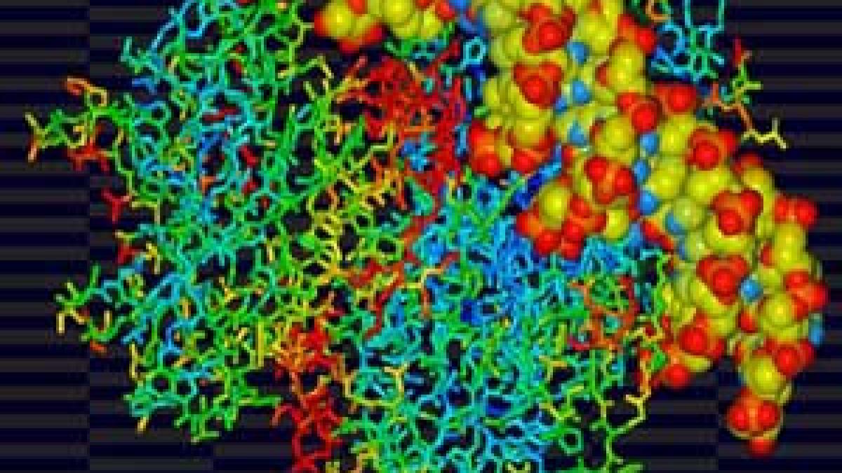 boala banala pe care ai avut o cel putin o data va omori milioane de oameni gena care va decima