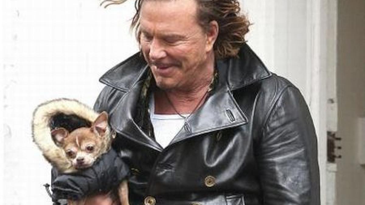 mickey rourke a adoptat un maidanez din romania si vrea sa faca un adapost pentru cainii vagabonzi