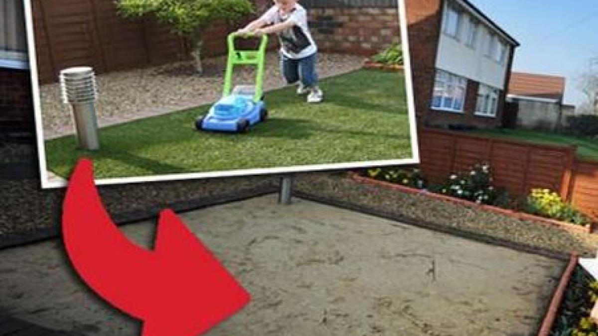 un britanic s a trezit cu gradina dezgolita hotii i au furat gazonul din fata casei