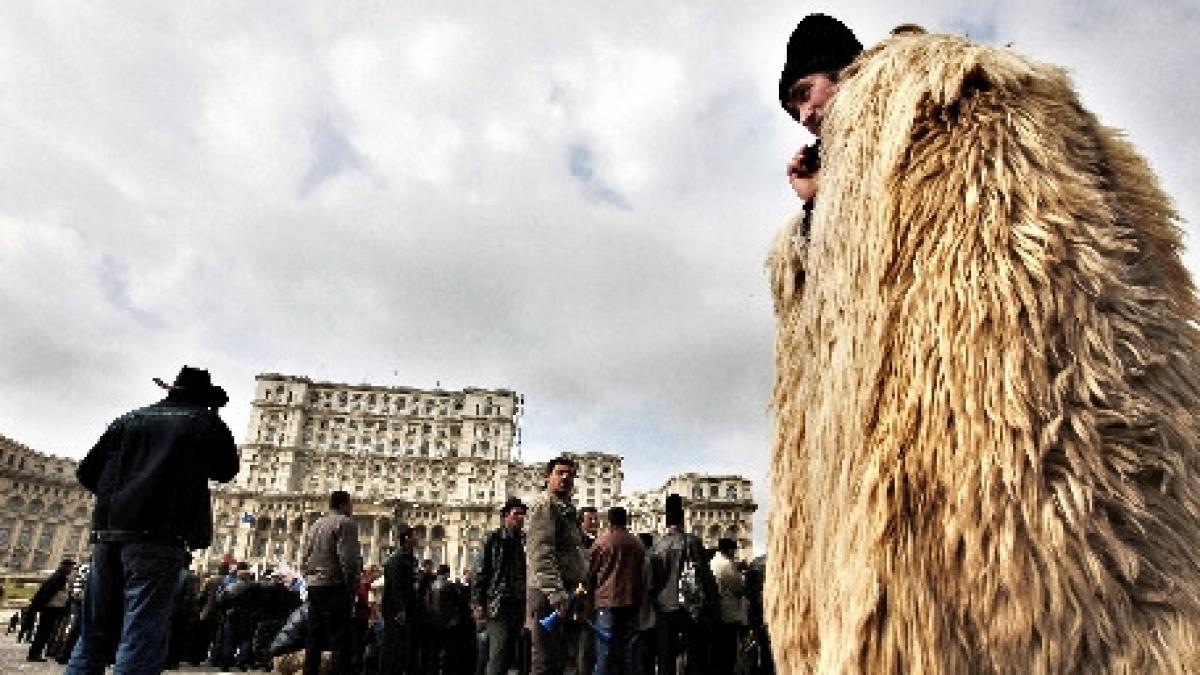 chiar daca absorbtia fondurilor europene este o prioritate autoritatile din romania isi bat joc de