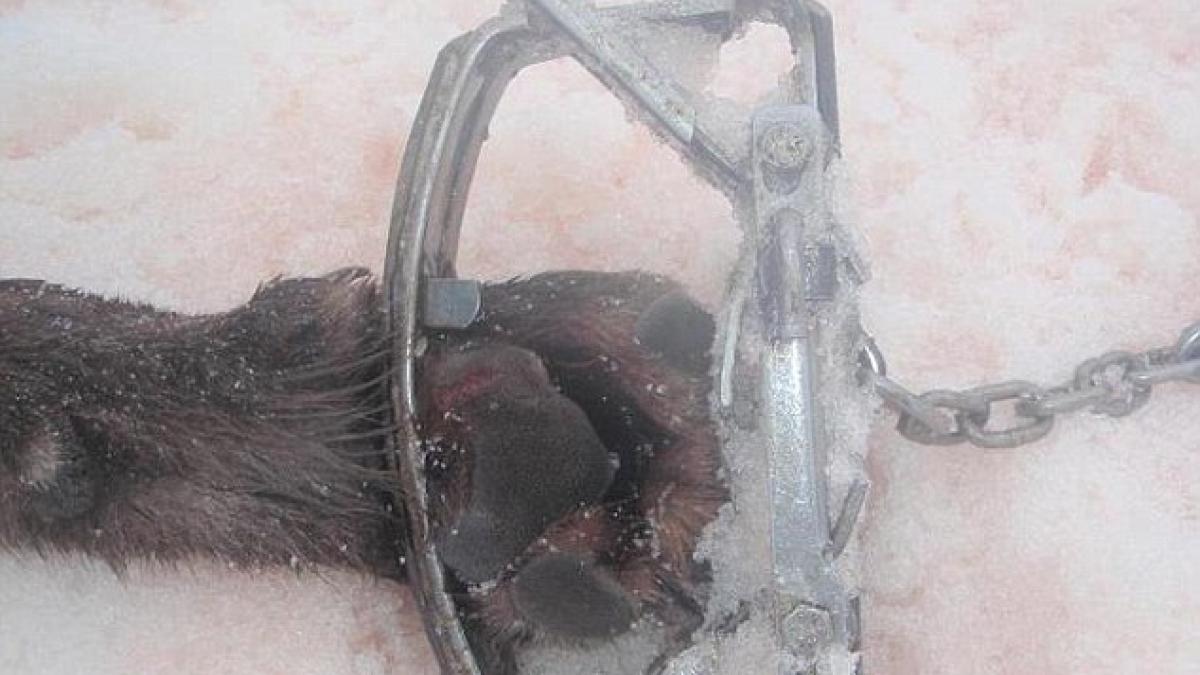 voi urmati imaginile socante care au impartit lumea in doua