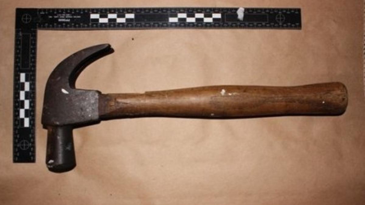 efectul unui serial tv asupra unui britanic de 15 ani si a ucis mama cu ciocanul apoi a incendiat