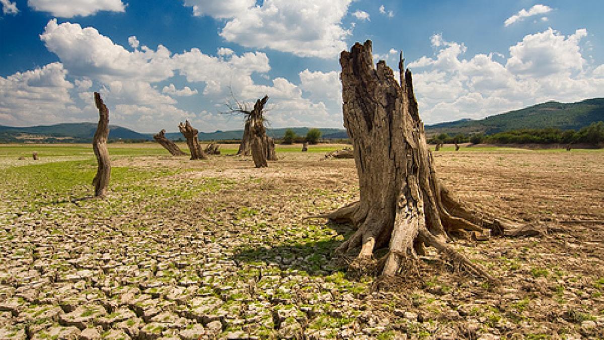 singura lor vina este ca s au nascut vezi povestea dramatica a celor condamnati nevinovati la moarte