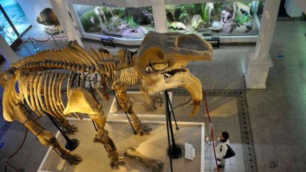 incasari record pentru muzee institutiile au castigat in 3 zile cat in 30 de zile