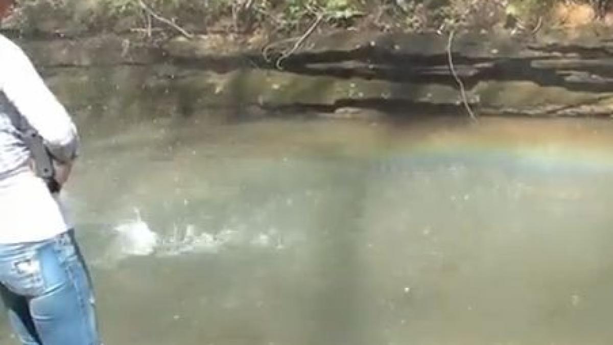 inedit vezi aici cum se face un curcubeu cu pusca