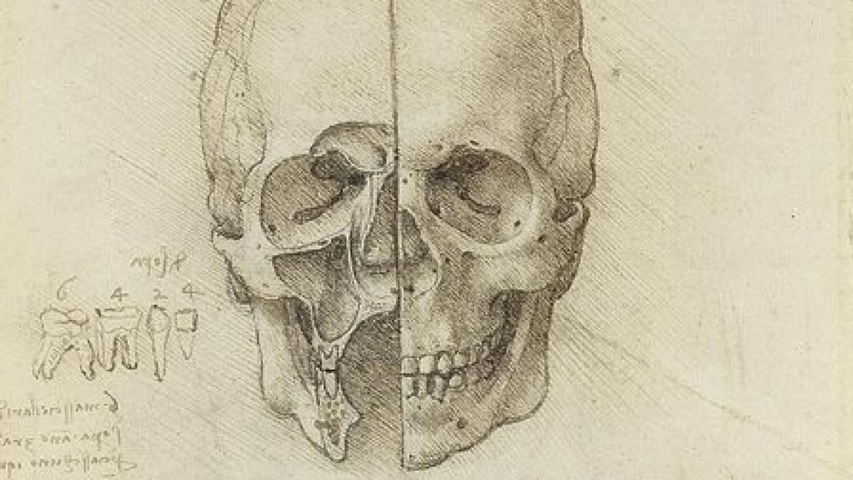 in mintea celui mai mare geniu renascentist fiecare episod al vietii trecut pe o coala de hartie