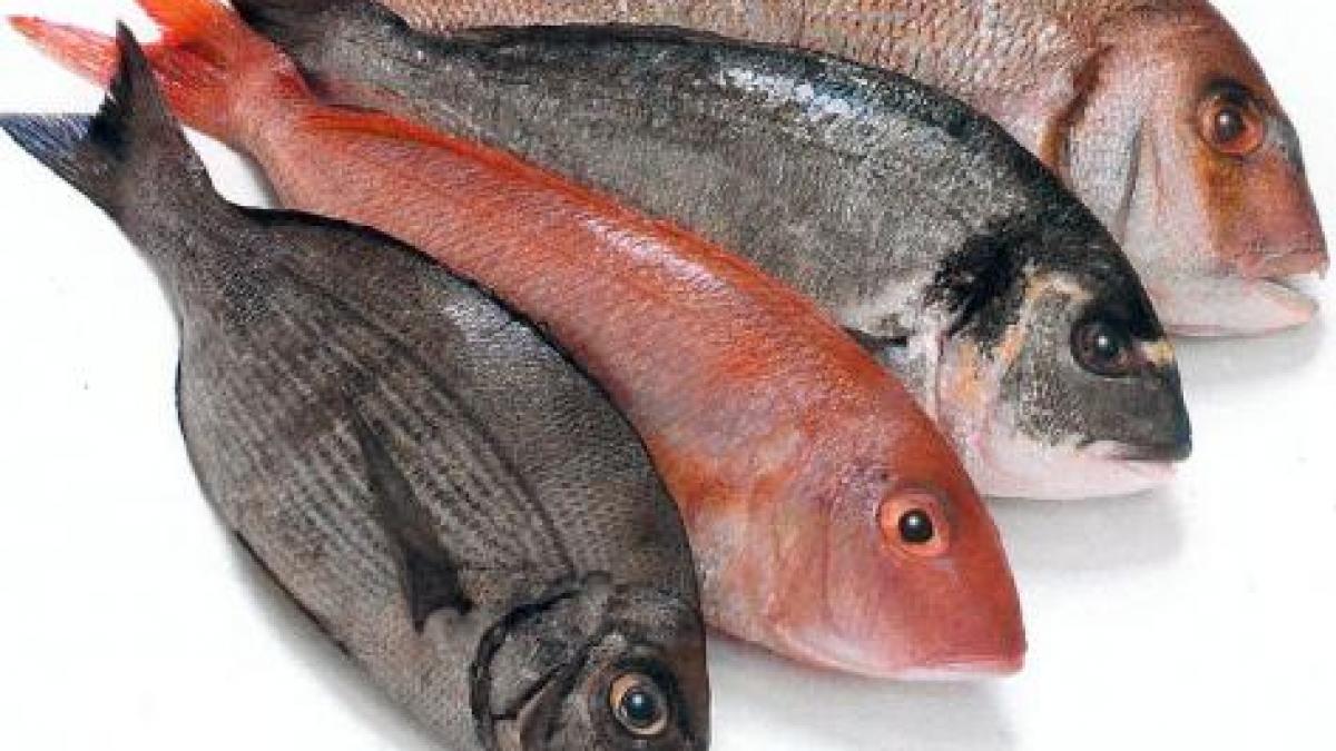 ortodocsii profita de dezlegare in magazine se da bataia pestelui