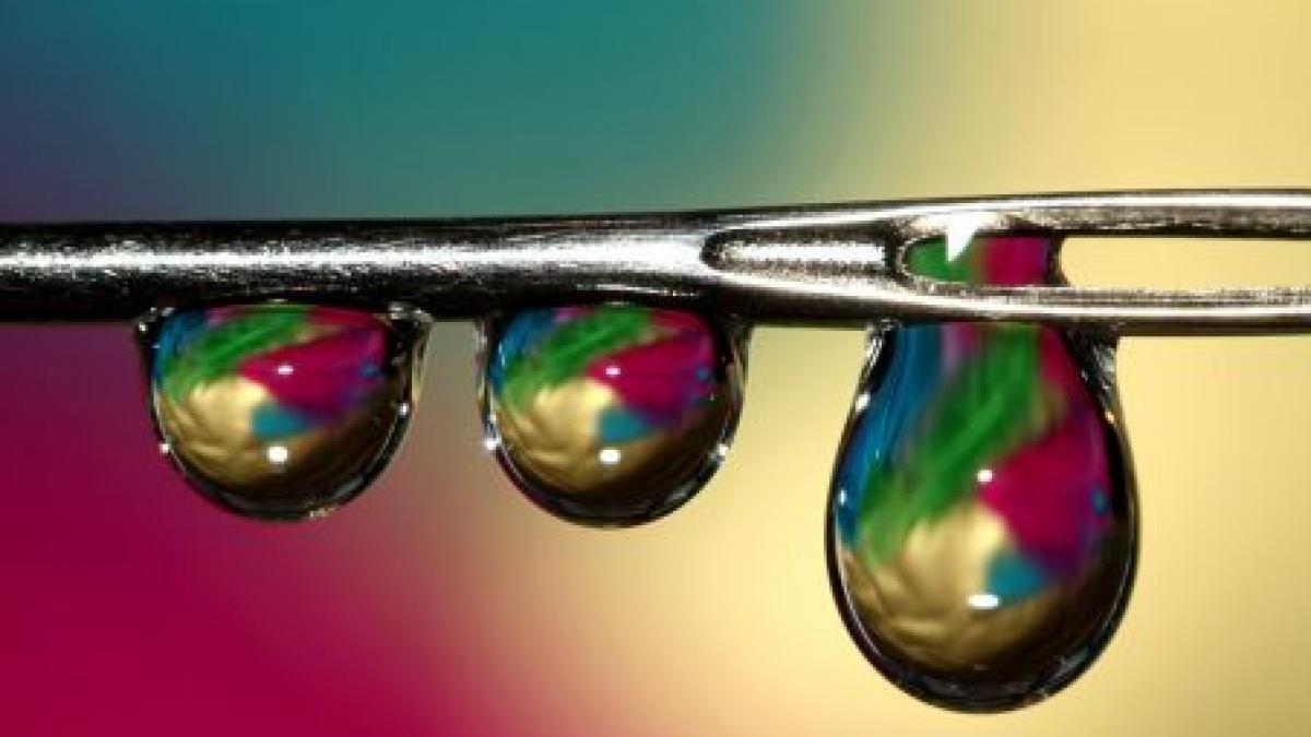 vezi aici cum arata natura de aproape