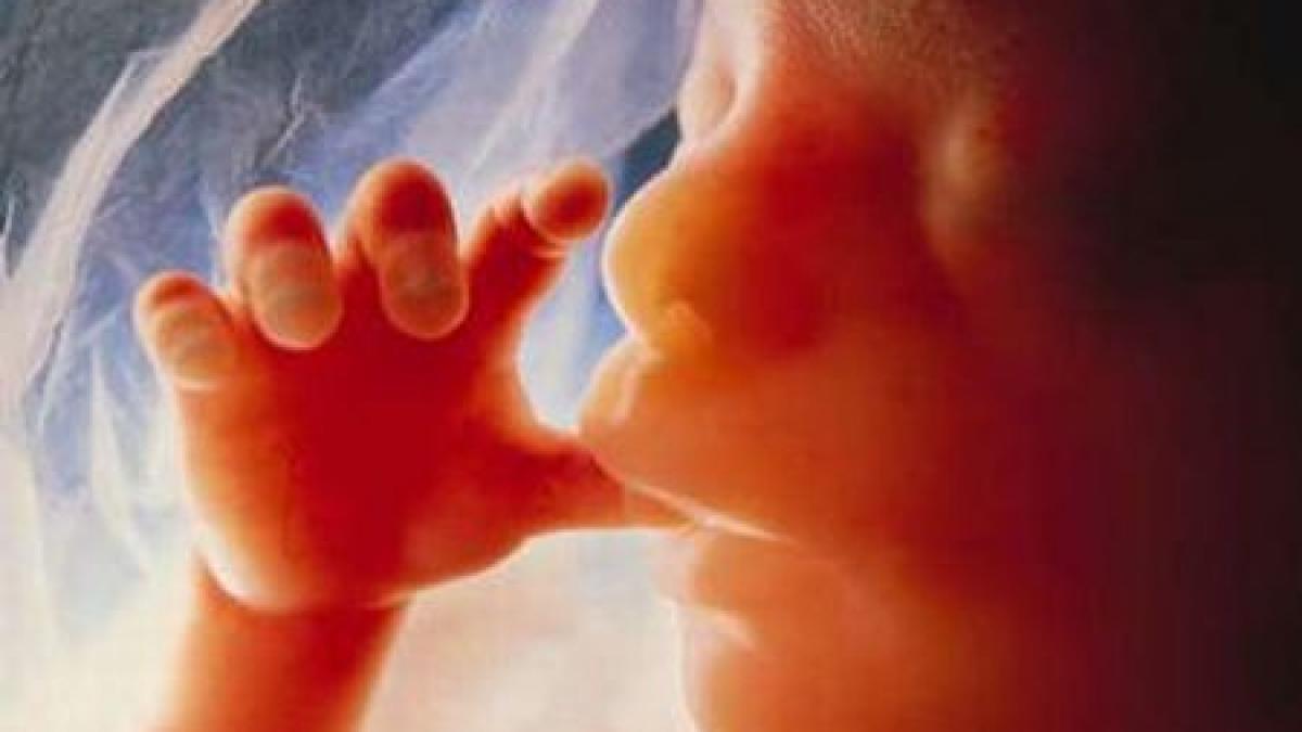 cum vor parlamentarii pdl sa rezolve criza demografica avortul numai cu aviz de la psiholog