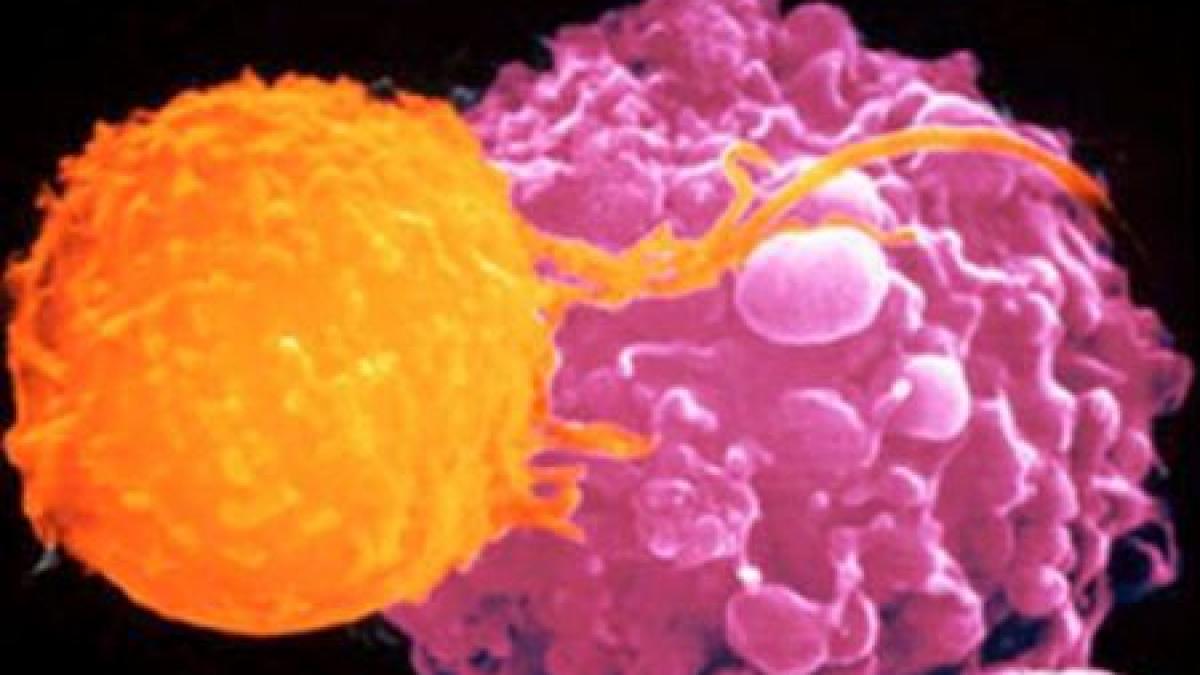 descoperirea care va salva vietile a milioane de oameni vaccinul anti cancer dezvoltat de oamenii